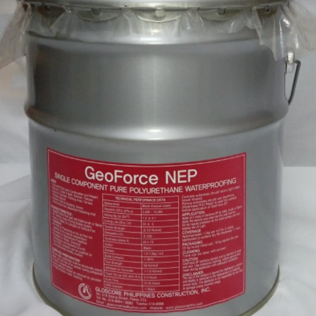 GeoForce NEP