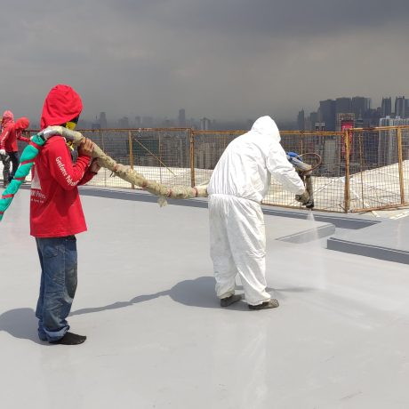 Application of GeoForce 800P